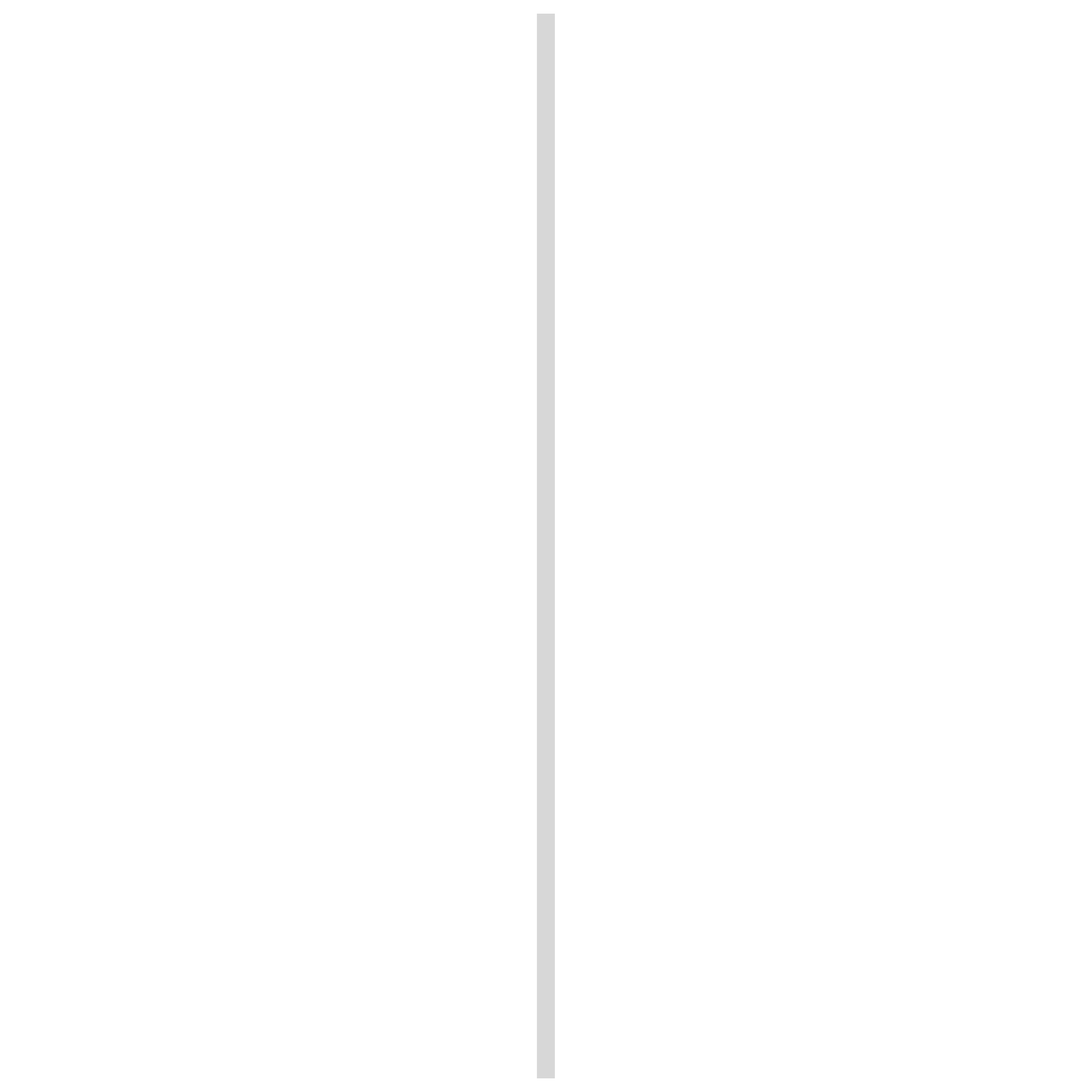 RAIL BASIC BLANC 360CM R-40